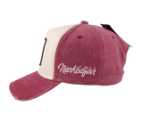 Command the wind distressed cap